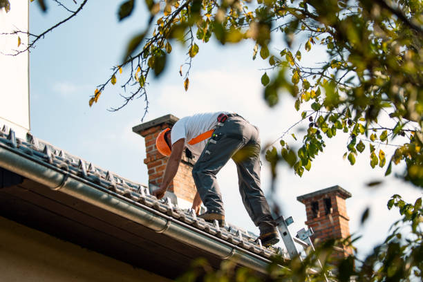 Best Roof Replacement Cost  in Frazier Park, CA