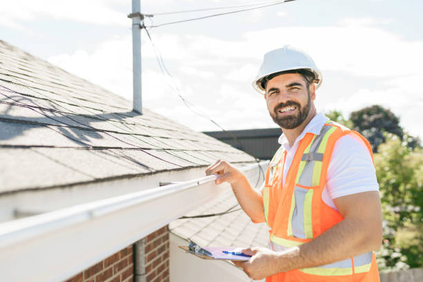 Best Roof Gutter Cleaning  in Frazier Park, CA